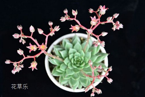 名师风采太紧了夹得我的巴好爽欧美技术先进，经验丰富